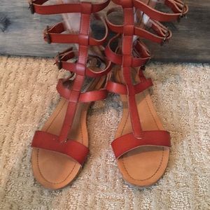 Steve Madden gladiator sandals